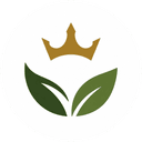 Logo Masvia