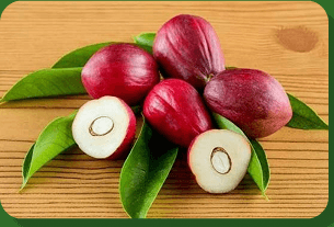 Buah Mahkota Dewa